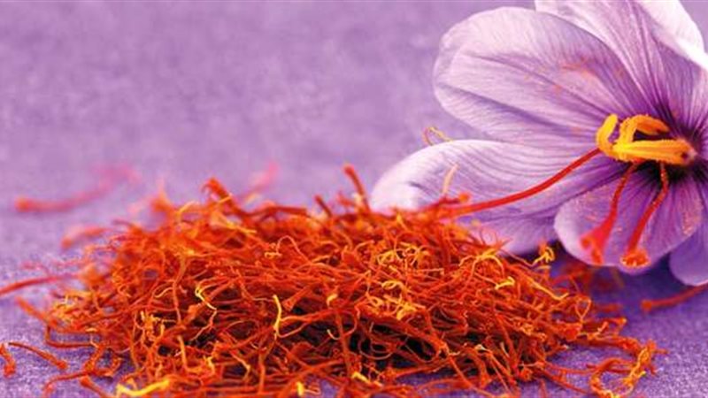 الزعفران