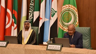 أبو الغيط: جائزة التميز الحكومي العربي حافز لتطوير الأداء المؤسسي  في العمل الحكومي