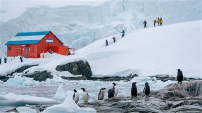 رصد مئات الزلازل قرب 