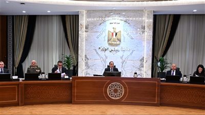 الحكومة توافق على 14 قرارا هاما اليوم