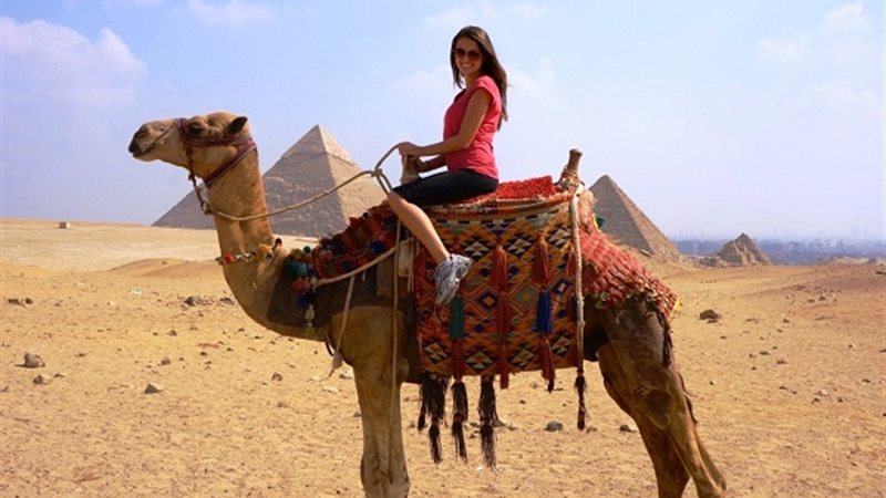 تفسير حلم ركوب الجمل في المنام 