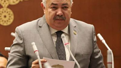 النائب عمرو أبو السعود: مصر تدخل مرحلة جديدة في قطاع الأسماك لتحقيق الأمن الغذائي
