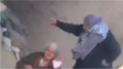 ضبط سيدة لتعديها بالضرب على والدتها المسنة بقرية في الشرقية