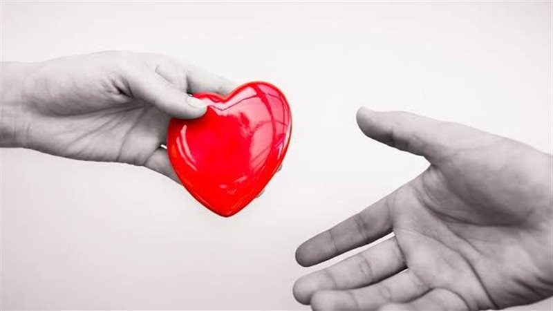 التبرع بالأعضاء البشرية في مصر 