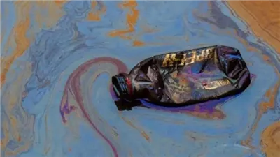 جوائز عالمية تحتفي بروائع التصوير