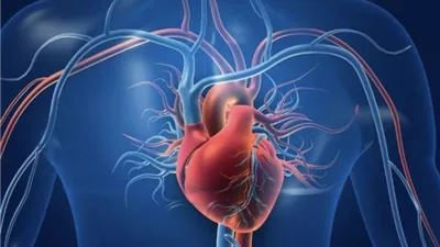 دراسة يابانية: قلة النوم تهدد قلوب الرجال في الخمسينات