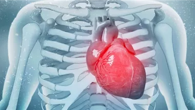 دراسة: ضجيج المرور لليلة واحدة يؤثر في صحة القلب