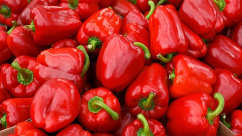 الفلفل الأحمر