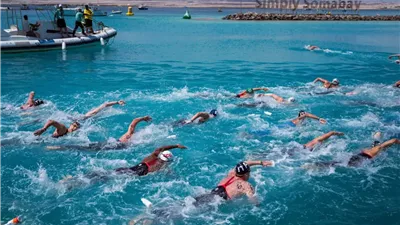 «السباحة» و«الفروسية»... رهان مصري جديد على السياحة الرياضية