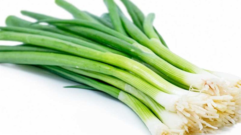 البصل الأخضر