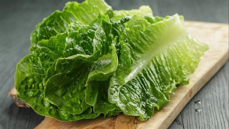 تفسير رؤية الخس في المنام