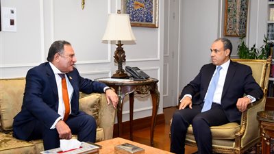 وزير الخارجية يبحث مع «عربية النواب» تعزيز العمل العربي المشترك