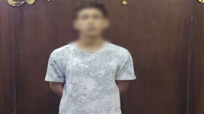 تسليم متهم أجنبي هارب إلى مصر عبر الإنتربول لتنفيذ حكم قضائي لصالح سيدة