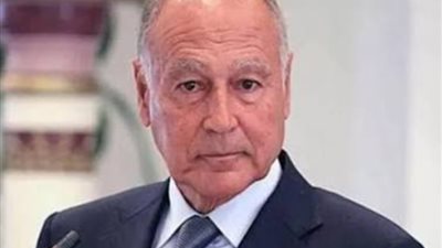 أبو الغيط يدين الهجمات الإيرانية على الإمارات ويؤكد التضامن العربي الكامل