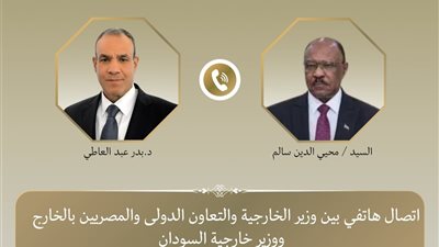 وزير الخارجية يبحث هاتفيًا مع نظيره السوداني تطورات الأزمة ويؤكد دعم مصر لوحدة السودان