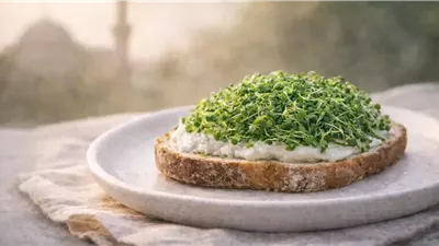 البراعم... مكونات صغيرة بقيمة غذائية كبيرة