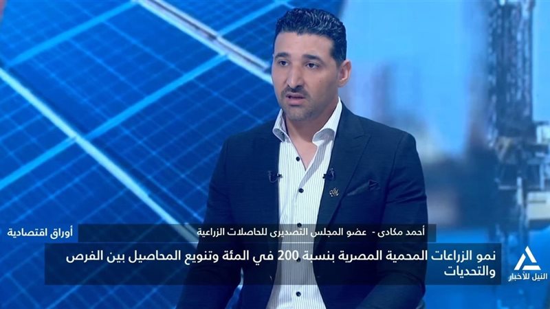 هير نيوز