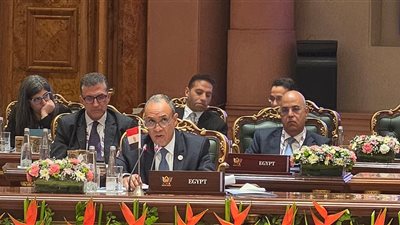 مصر تدعو من نيودلهي لتعزيز التعاون داخل البريكس وإصلاح النظام الدولي
