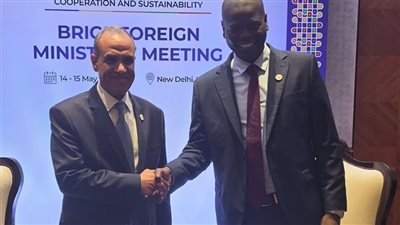 عبد العاطي ونظيره الجنوب أفريقي يؤكدان تعزيز التعاون الاقتصادي والتنسيق المشترك داخل «البريكس»