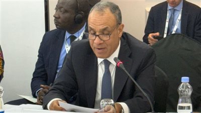 مصر تؤكد دعمها لإصلاح مجلس الأمن وتمثيل أفريقيا الدائم خلال اجتماع وزاري بنيروبي