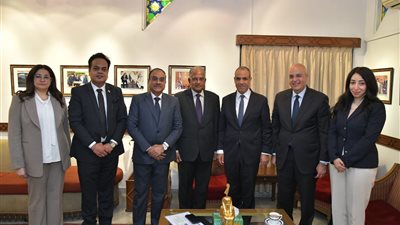 وزير الخارجية يلتقي قيادات كبرى الشركات الهندية لبحث تعزيز الاستثمارات في مصر