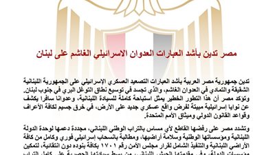 مصر تدين التوغل الإسرائيلي في جنوب لبنان وتطالب بانسحاب فوري وتنفيذ القرار 1701