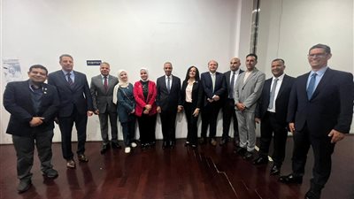 وزير الخارجية يؤكد لأبناء الجالية المصرية بكوريا الجنوبية حرص الدولة على رعاية المصريين بالخارج ودعم
