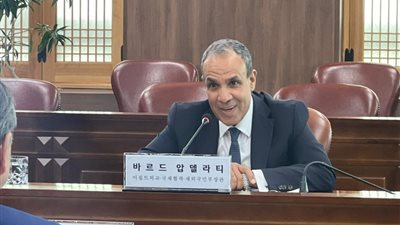مصر وكوريا الجنوبية تعقدان أول جولة للحوار الاستراتيجي في سول  