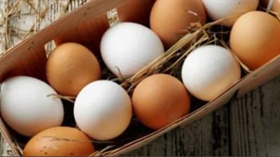 خير أم شر يقترب ؟ .. تفسير رؤية البيض في المنام لابن سيرين
