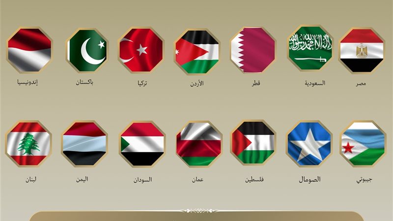 هير نيوز