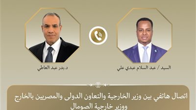 مصر والصومال تؤكدان رفض أي إجراءات تمس وحدة الأراضي الصومالية
