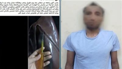 ضبط عامل بتهمة التحرش بسيدة وتهديدها بمفك داخل ميكروباص في باب الشعرية