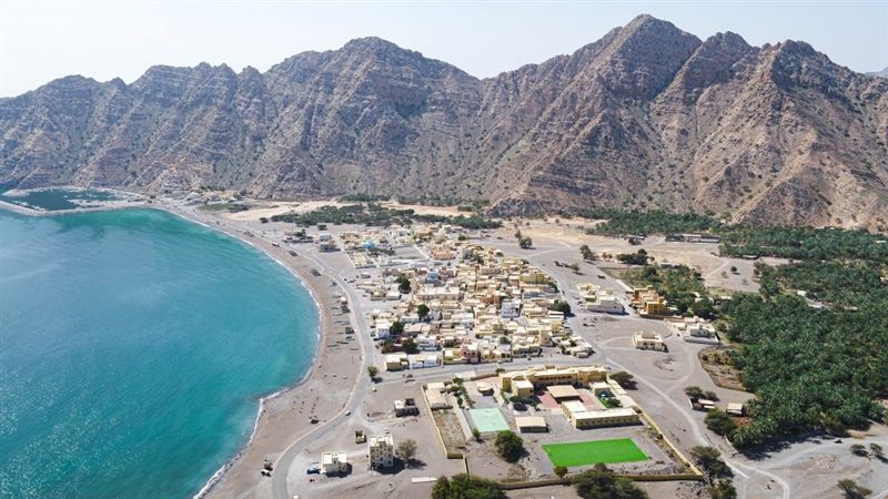 هير نيوز