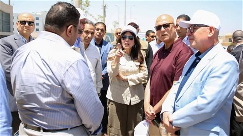 هير نيوز