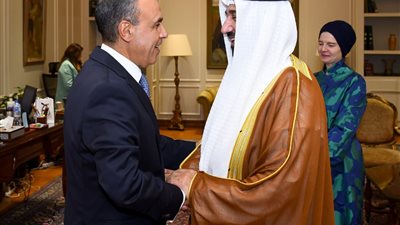 وزير الخارجية ورئيس البرلمان العربي يبحثان تعزيز العمل العربي المشترك ودعم الدبلوماسية البرلمانية  