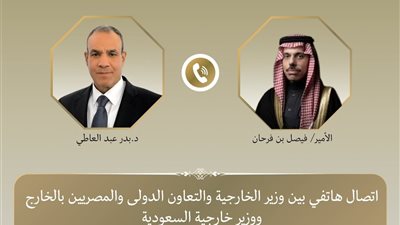 وزير الخارجية ونظيره السعودي يؤكدان مواصلة التنسيق المشترك بشأن القضايا الإقليمية