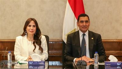 وزيرا الشباب والرياضة والإسكان يبحثان سبل التعاون المشترك في عدد من المشروعات والملفات