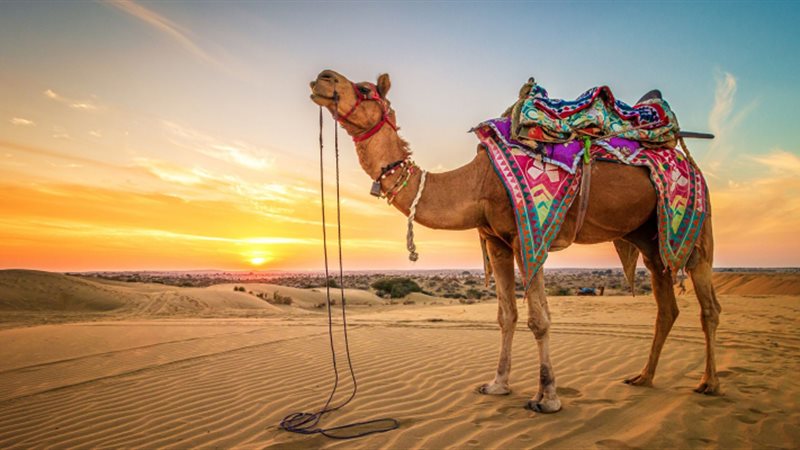 صورة تعبيرية