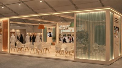 برعاية رئيس دولة الإمارات.. الأرشيف والمكتبة الوطنية ومهرجان الشيخ زايد يطلقان برنامجًا صيفيًا 
