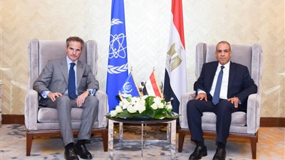 وزير الخارجية يبحث مع مدير عام الوكالة الدولية للطاقة الذرية تطورات مشروع الضبعة والأوضاع الإقليمية