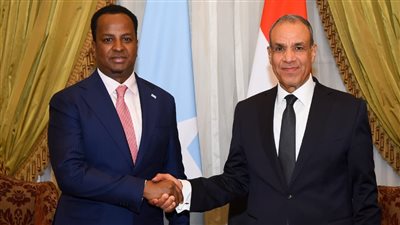  وزير الخارجية يبحث مع نظيره الصومالي تعزيز الشراكة الاستراتيجية وتطورات القرن الأفريقى  