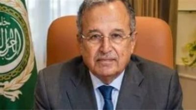 نبيل فهمى : أمن السعودية جزء لا يتجزأ من الأمن القومي العربي وسندعم المملكة 