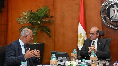 تنسيق بين الاستثمار والخارجية لدفع مشروعات الاقتصاد الأخضر وتعزيز تنافسية الصادرات المصرية