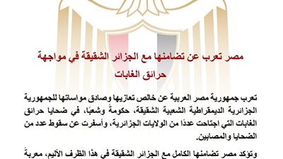 مصر تعلن تضامنها مع الجزائر وتعزي في ضحايا حرائق الغابات