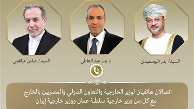 وزير الخارجية يبحث مع نظيريه العُماني والإيراني جهود خفض التصعيد ويؤكد أهمية تأمين الملاحة 