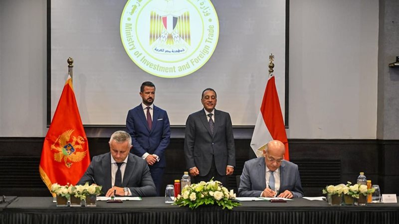 هير نيوز