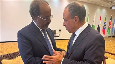 وزير الخارجية يؤكد للرئيس الصومالي دعم مصر الكامل لسيادة ووحدة الصومال
