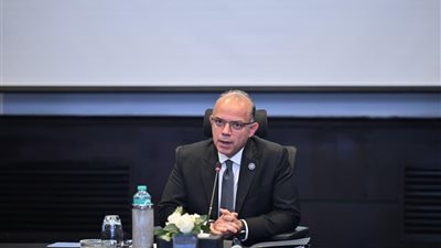 وزير الاستثمار يبحث مع «موانئ دبي العالمية» تعزيز الصادرات المصرية ونفاذها إلى الأسواق الأفريقية   
