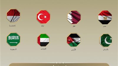 7 دول عربية وإسلامية تدين الانتهاكات الإسرائيلية في غزة وتطالب المجتمع الدولي بتحرك عاجل