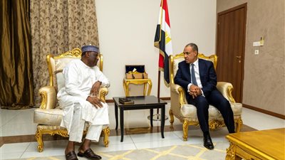 وزير الخارجية يبحث مع السكرتير التنفيذي لتجمع دول الساحل والصحراء تعزيز جهود الأمن والاستقرار ومكافحة الإرهاب